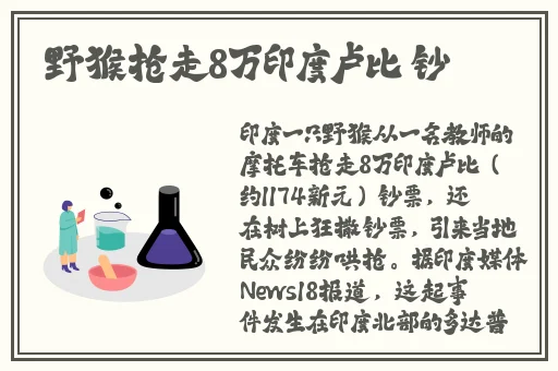 久久亚洲精品无码av